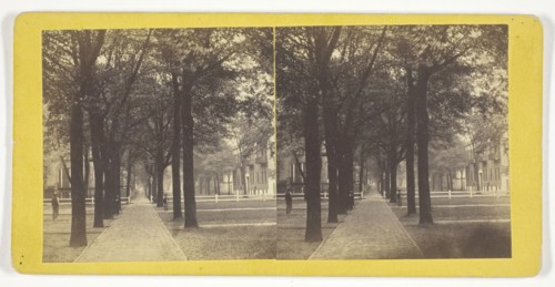 Bull St. from Madison Square, 1860/80, J. N. Wilson, American, 1827–1897, United States, Albumen