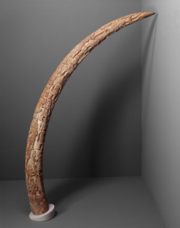 Tusk, 1850/1888, Edo, Kingdom of Benin, Nigeria, Coastal West Africa, Nigeria, Ivory, 150.5 × 195.6