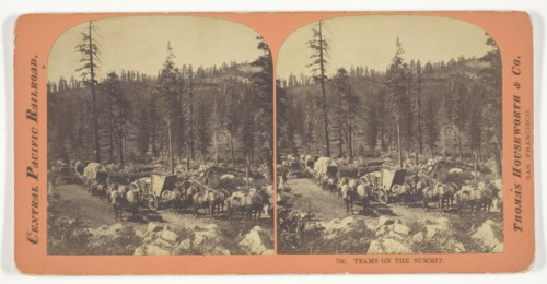 Teams on the Summit, 1867, Thomas Houseworth & Co., American, 1828–1915, United States, Albumen