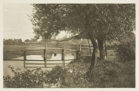 On the Sow, Near Walton’s House at Shallowford, 1880s, Peter Henry Emerson, English, born Cuba,
