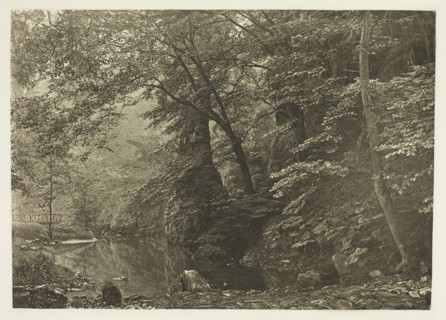 Pike Pool (from below), 1880s, Peter Henry Emerson, English, born Cuba, 1856–1936, England,