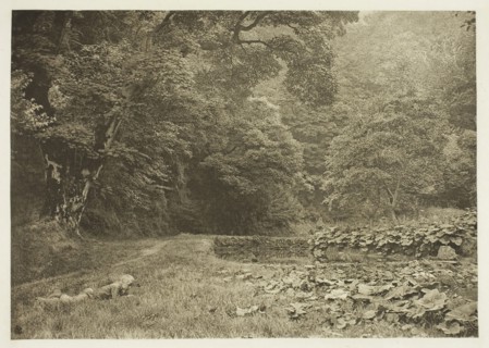 A Quiet Nook in Beresford Dale, 1880s, Peter Henry Emerson, English, born Cuba, 1856–1936, England,