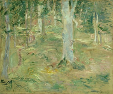 Forêt de Compiègne, 1885, Berthe Morisot, French, 1841-1895, France, Oil on canvas, 21 3/8 × 25 1/2