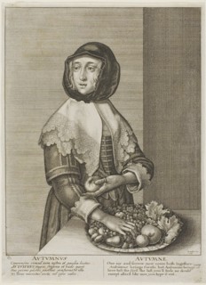 Autumn, from The Four Seasons, 1641, Wenceslaus Hollar, Czech, 1607-1677, Bohemia, Etching on gray