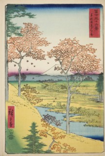 Yuhi Hill at Meguro in the Eastern Capital (Toto Meguro Yuhigaoka), from the series Thirty-six