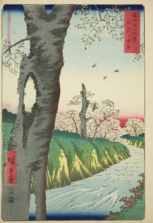 Koganei in Musashi Province (Musashi Koganei), from the series Thirty-six Views of Mount Fuji (Fuji