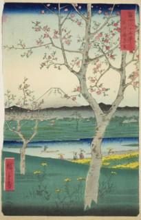 The Outskirts of Koshigaya in Musashi Province (Musashi Koshigaya zai), from the series Thirty-six