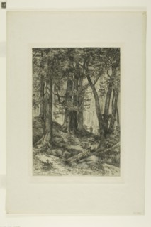 A California Forest, 1888, Mary Nimmo (American, 1842-1899), Thomas Moran (American, born England,