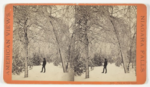 View on Goat Island, 1869/73, Anthony & Company, American, active 1848–1901, United States, Albumen