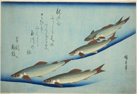 River trout, c. 1832/44, Utagawa Hiroshige ?? ??, Japanese, 1797-1858, Japan, Color woodblock