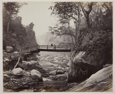 Untitled, c. 1865, Samuel Bourne, English, 1834–1912, England, Albumen print, 24.3 × 29.4 cm
