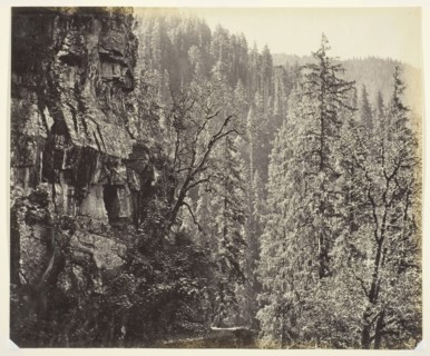 Untitled, c. 1865, Samuel Bourne, English, 1834–1912, England, Albumen print, 24.5 × 29.4 cm