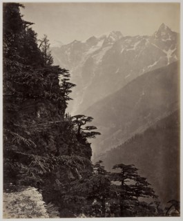 Untitled, c. 1865, Samuel Bourne, English, 1834–1912, England, Albumen print, 28.7 × 23.5 cm