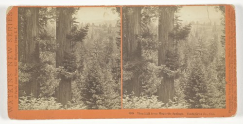 Vine Hill from Magnetic Springs. Santa Cruz Co., Cal., 1878/82, Carleton Watkins, American,