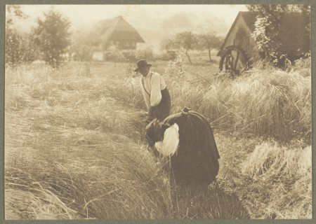 Early Morn, 1894, Alfred Stieglitz, American, 1864–1946, United States, Photogravure, from the