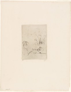 The Duck, 1889, Berthe Morisot, French, 1841-1895, France, Drypoint in black on cream laid paper,
