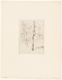 The Lake in the Bois de Boulogne, 1889, Berthe Morisot, French, 1841-1895, France, Drypoint in
