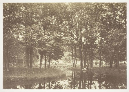 Untitled, c. 1850, Charles Marville, French, 1813–1879, France, Albumen print, from the series