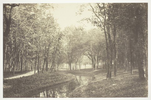 Untitled, c. 1850, Charles Marville, French, 1813–1879, France, Albumen print, from the series Bois