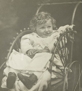 Untitled (Howard Schubart in Carriage), 1893, Alfred Stieglitz, American, 1864–1946, United States,