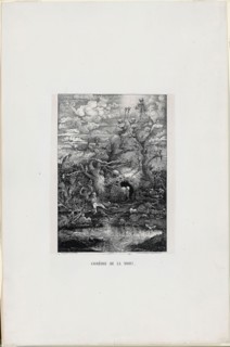 The Comedy of Death, 1854, Rodolphe Bresdin, French, 1825-1885, France, Lithograph in black on