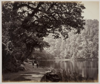 Untitled, 1870s, Samuel Bourne, English, 1834–1912, England, Albumen print, 23.6 × 28.3 cm