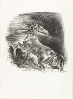 Wild Horse, or Frightened Horse Leaving the Water, 1828, Eugène Delacroix, French, 1798-1863,