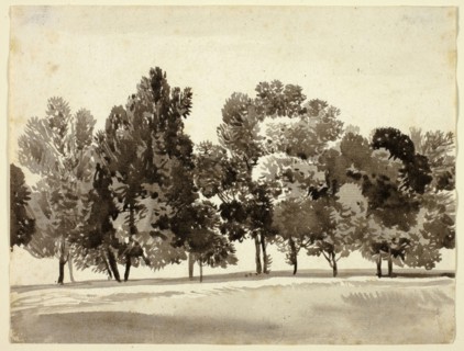 Grove of Leafy Trees, c. 1818, Franz Kobell, German, 1749-1822, Germany, Brush and brown wash on