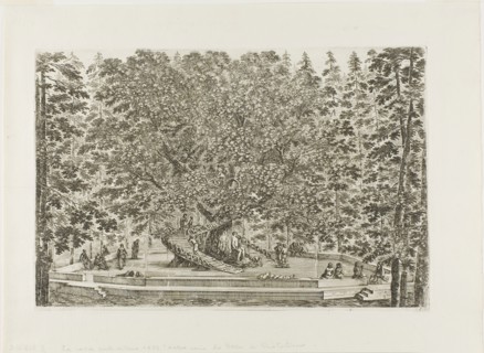 The Fountain of the Oak, 1653/55, Stefano della Bella, Italian, 1610-1664, Italy, Etching on ivory