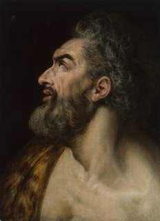 Study Head of a Bearded Man, c. 1565, Frans Floris, Netherlandish, 1519/20-1570, Flanders, Oil on