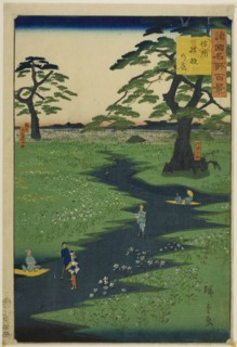 Kikyo Plain, Shinshu Province (Shinshu Kikyogahara) from the series One Hundred Famous Views in the