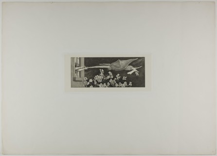 Abduction, plate nine from A Glove, 1881, Max Klinger, German, 1857-1920, Germany, Etching and