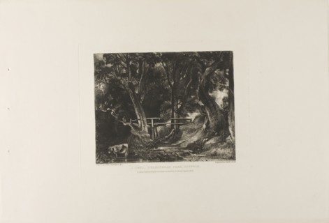 A Dell, Helmingham Park, Suffolk, 1830, David Lucas (English, 1802-1881), after John Constable