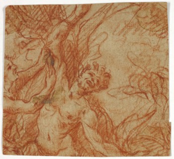 Flaying of Marsyas, n.d., Unknown Artist, French, 18th century, France, Red chalk on tan laid