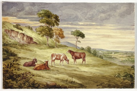 Deer Park, possibly Kilkenny, 1843, Elizabeth Murray, English, c. 1815-1882, England, Watercolor