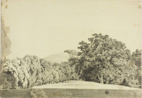 Wooded Landscape, 1754/97, Joseph Wright of Derby, English, 1734-1797, England, Brush and gray