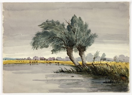 Cringleford Meadows-Morning, n.d., Unknown Artist (British, 19th century), or possibly after Robert