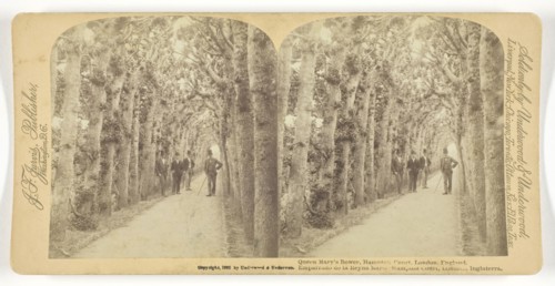 Queen Mary’s Bower, Hampton Court, London, England, 1892, Underwood & Underwood, American, active