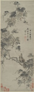 Squirrel and Grapes, 1694, Shen Yongling, Chinese, 1614-1698, China, Hanging scroll, ink and color
