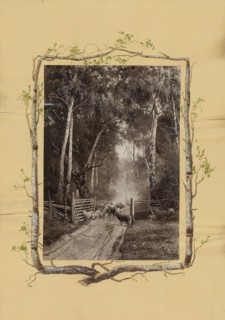 The Madame B Album, 1870s, Marie-Blanche-Hennelle Fournier, French, 1831–1906, France, Albumen