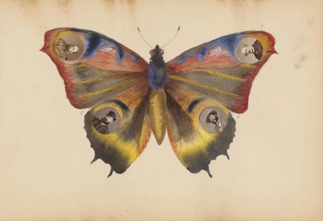 The Madame B Album, 1870s, Marie-Blanche-Hennelle Fournier, French, 1831–1906, France, Albumen