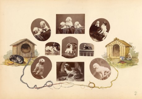 The Madame B Album, 1870s, Marie-Blanche-Hennelle Fournier, French, 1831–1906, France, Albumen