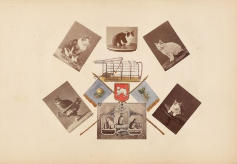 The Madame B Album, 1870s, Marie-Blanche-Hennelle Fournier, French, 1831–1906, France, Albumen