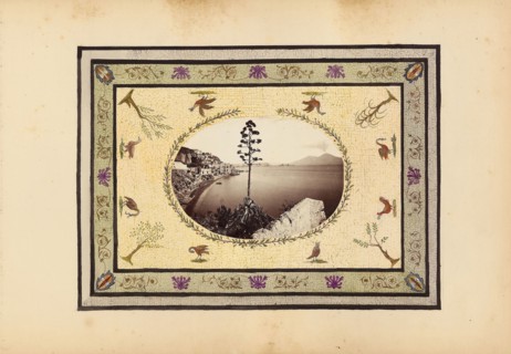 The Madame B Album, 1870s, Marie-Blanche-Hennelle Fournier, French, 1831–1906, France, Albume print