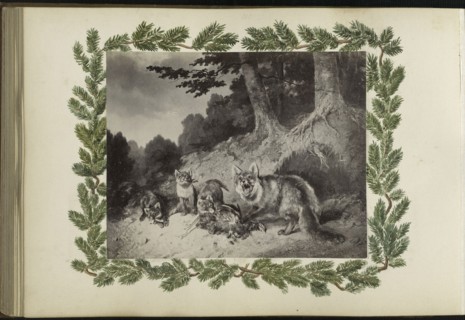 The Madame B Album, 1870s, Marie-Blanche-Hennelle Fournier, French, 1831–1906, France, Albumen