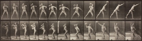 Animal Locomotion, Plate 319, 1887, Eadweard Muybridge, English, active United States, 1830–1904,