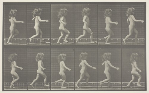 Animal Locomotion, Plate 469, 1887, Eadweard Muybridge, English, active United States, 1830–1904,