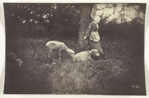 Shepherdess Leaning Against a Tree, with Two Sheep, 1870, Giraudon’s Artist, French, active c.