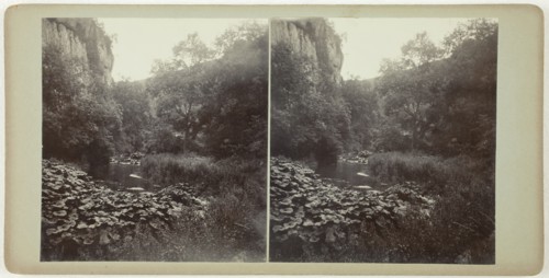 Untitled (Miller’s Dale), 1860s, Derbyshire, Albumen print, stereo, 8.1 × 7.5 cm (each image), 8.9