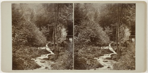 Untitled (Schweizerlat, St. Goarshausen), 1860s, Germany, Albumen print, stereo, 8.1 x 7.5 cm (each